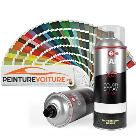 Peinture RAL satiné direct 1K