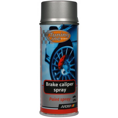 Peinture Etrier de Frein Gris